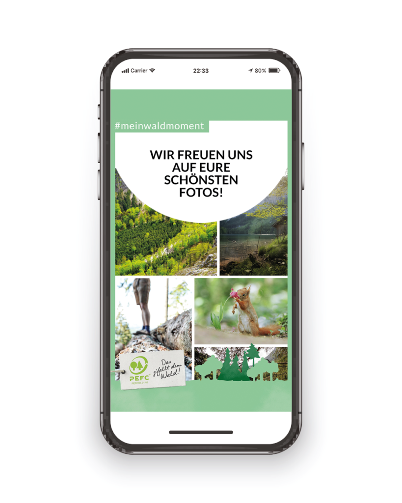 PEFC Fotowettbewerb Kampagnensujet (Grafik: PEFC Austria)